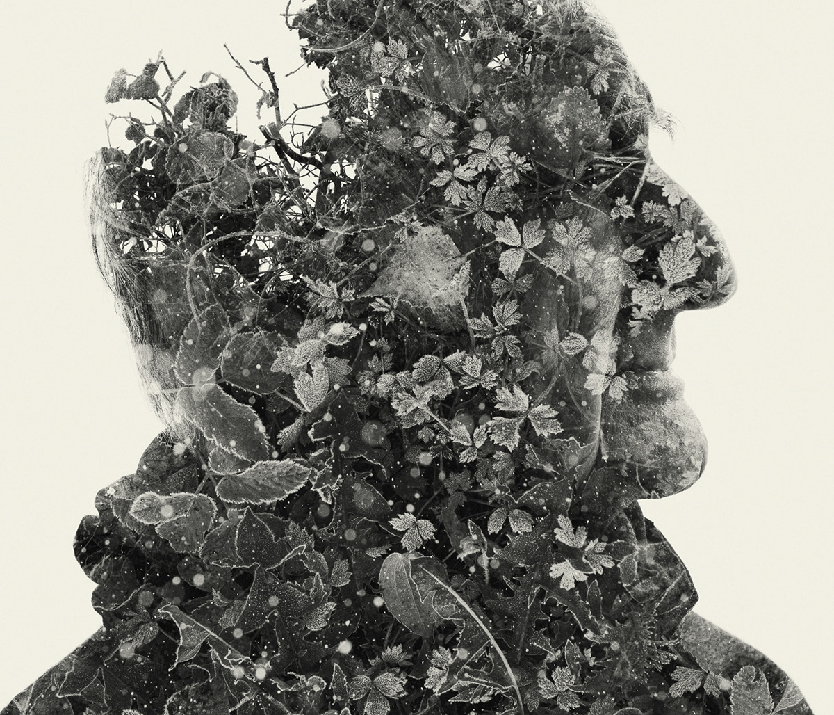 We Are Nature - fusion homme-nature dans les portraits double exposition de Christoffer Relander We Are Nature fusion homme nature dans les portraits double exposition de Christoffer Relander 5 We-Are-Nature-fusion-homme-nature-dans-les-portraits-double-exposition-de-Christoffer-Relander-5