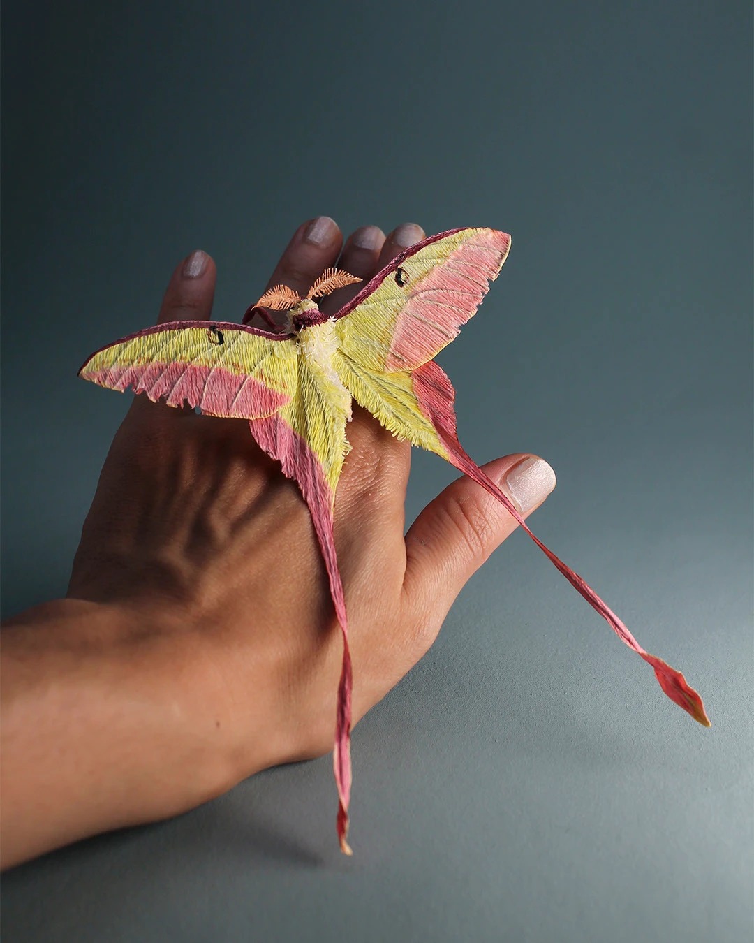 papillon en papier crepon par tina kraus papillon en papier crepon par tina kraus