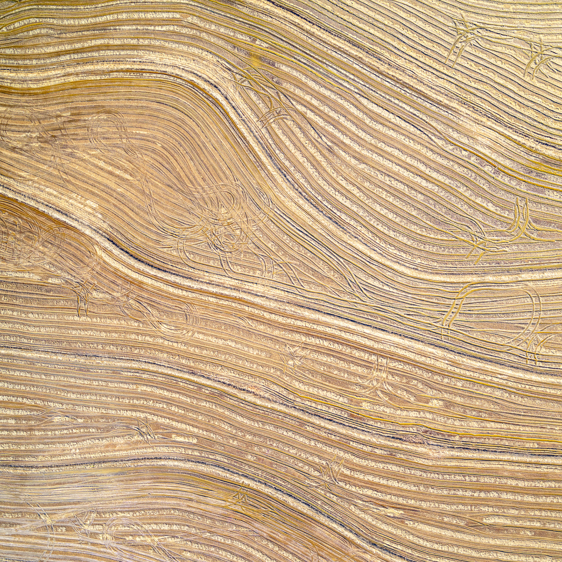 Farmland - paysages agricoles vus du ciel par Mitchell Rouse Farmland paysages agricoles vus du ciel par Mitchell Rouse 6 Farmland-paysages-agricoles-vus-du-ciel-par-Mitchell-Rouse-6