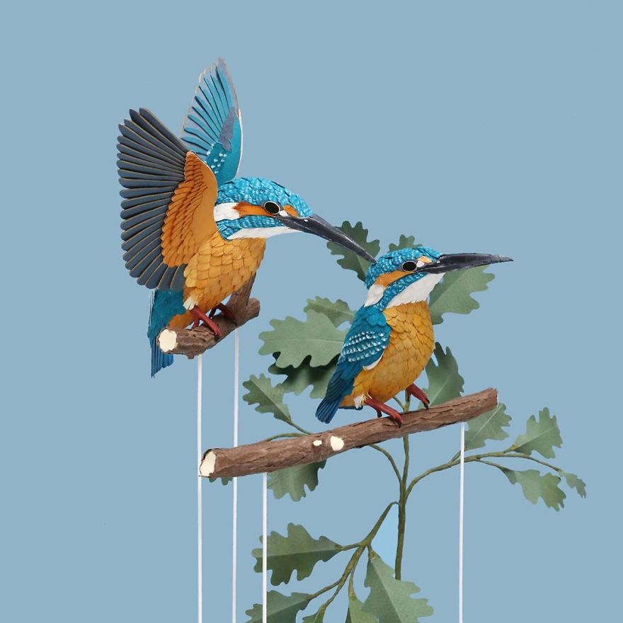 Les oiseaux de papier de Diana Beltrán Herrera Les oiseaux de papier de Diana Beltran Herrera 10 Les-oiseaux-de-papier-de-Diana-Beltran-Herrera-10