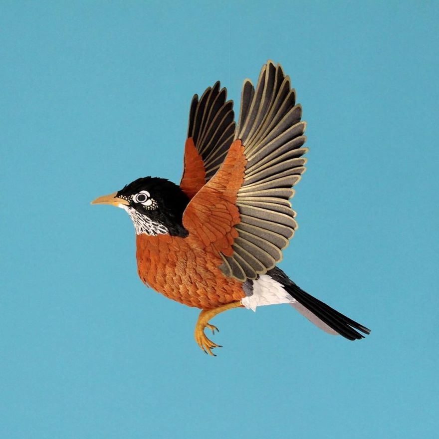 Les oiseaux de papier de Diana Beltrán Herrera Les oiseaux de papier de Diana Beltran Herrera 13 Les-oiseaux-de-papier-de-Diana-Beltran-Herrera-13