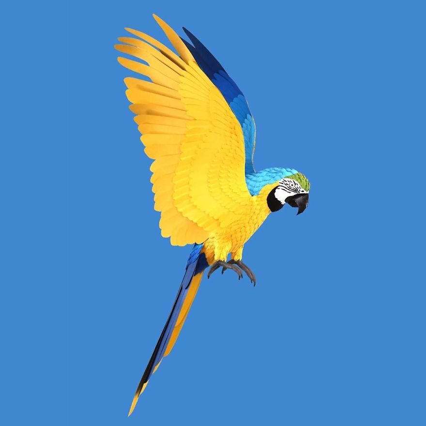 Les oiseaux de papier de Diana Beltrán Herrera Les oiseaux de papier de Diana Beltran Herrera 3 perroquet Les-oiseaux-de-papier-de-Diana-Beltran-Herrera-3-perroquet