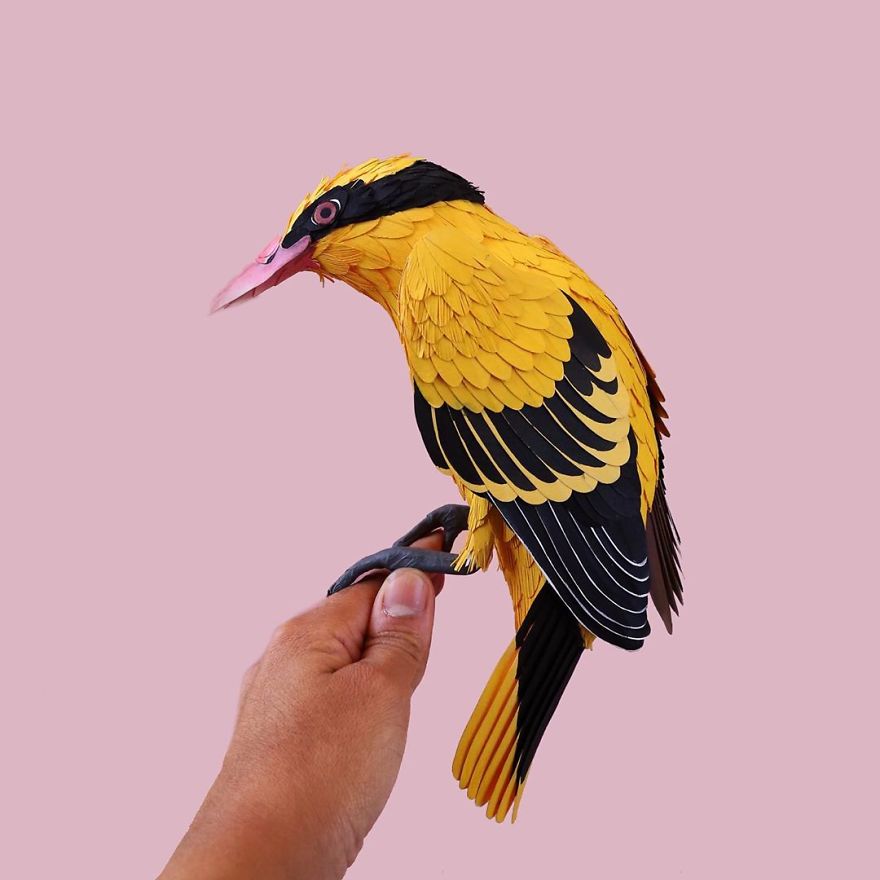 Les oiseaux de papier de Diana Beltrán Herrera Les oiseaux de papier de Diana Beltran Herrera 4 Les-oiseaux-de-papier-de-Diana-Beltran-Herrera-4