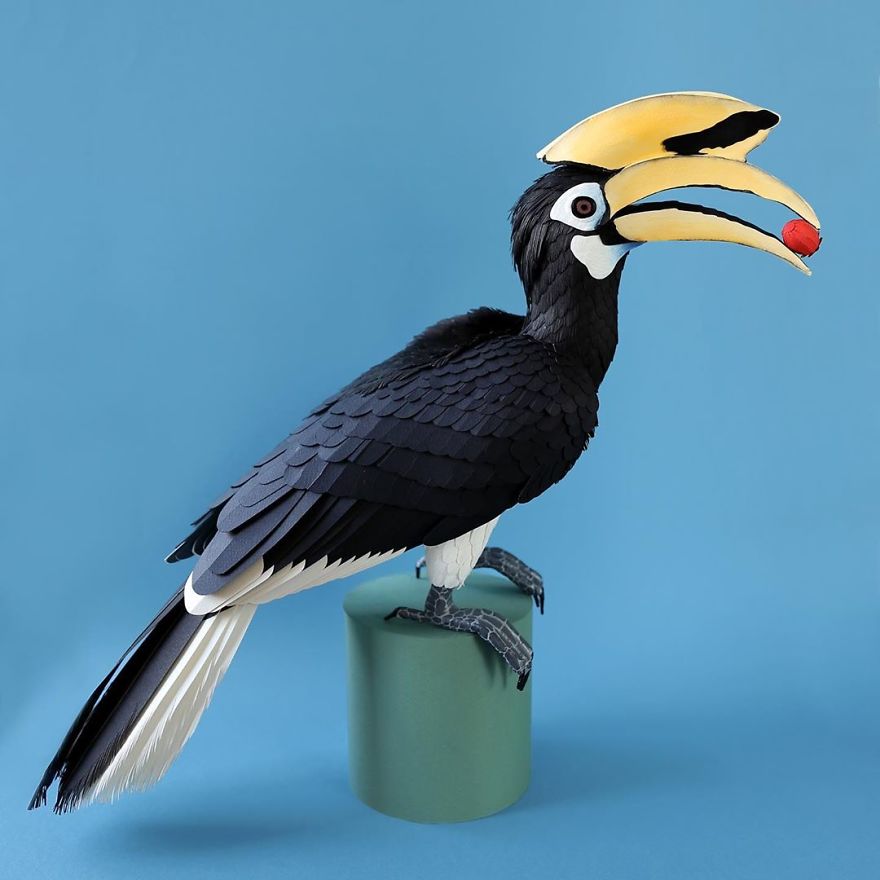 Les oiseaux de papier de Diana Beltrán Herrera Les oiseaux de papier de Diana Beltran Herrera 7 toucan Les-oiseaux-de-papier-de-Diana-Beltran-Herrera-7-toucan