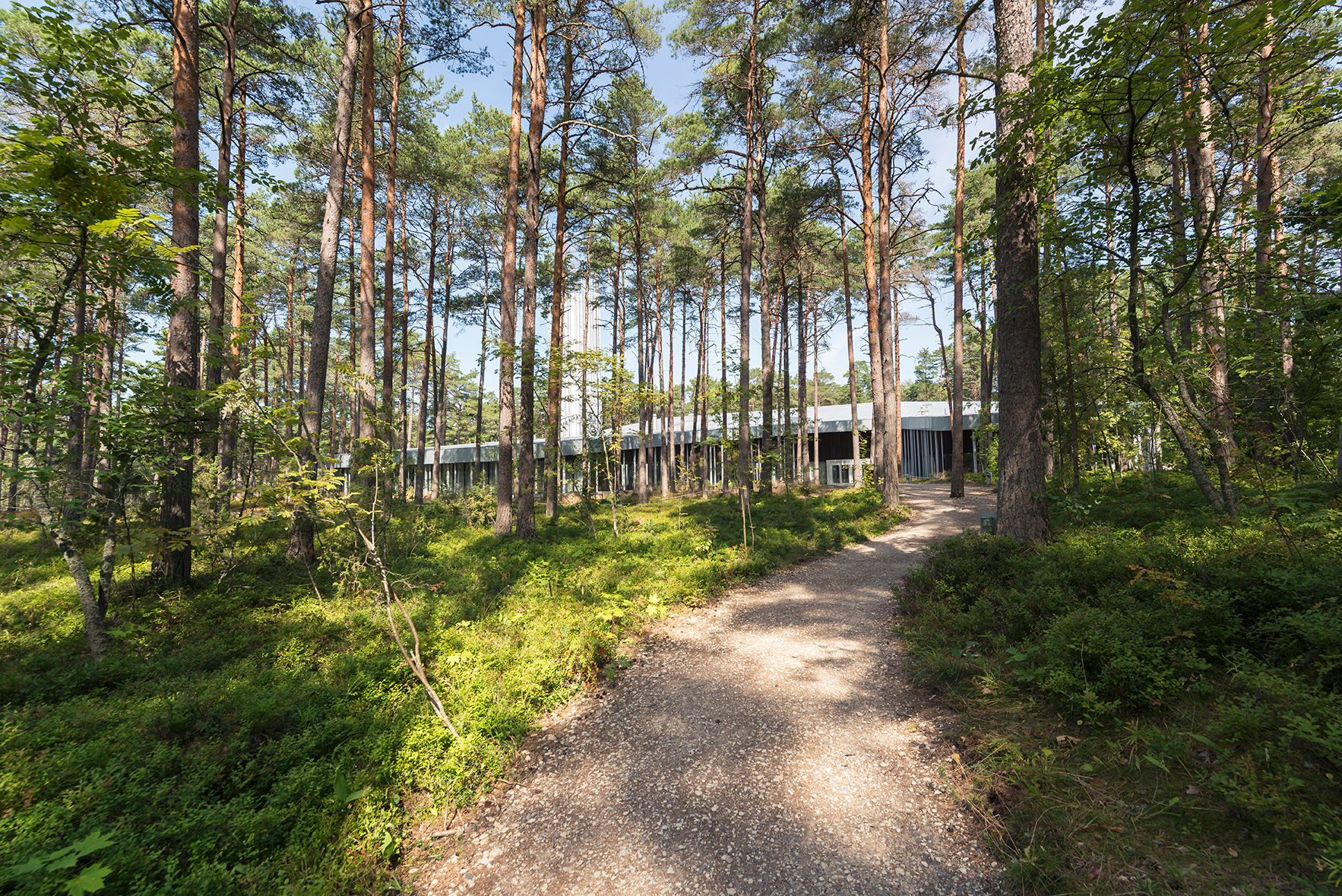 La fondation Arvo Pärt par Andrés Gallardo Albajar La fondation Arvo Part par Andres Gallardo Albajar 2 La-fondation-Arvo-Part-par-Andres-Gallardo-Albajar-2