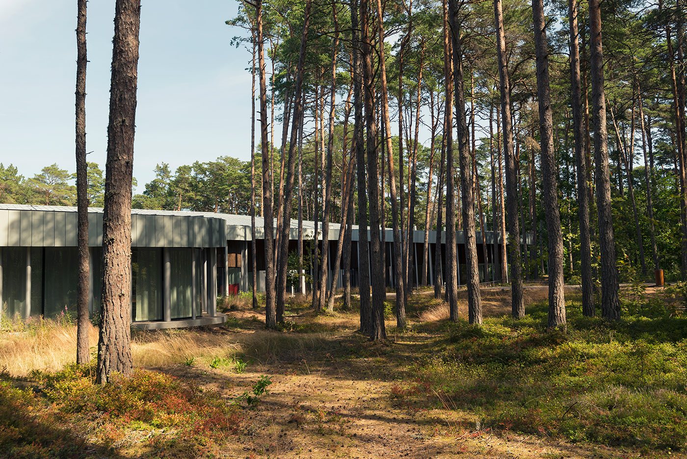 La fondation Arvo Pärt par Andrés Gallardo Albajar La fondation Arvo Part par Andres Gallardo Albajar 3 La-fondation-Arvo-Part-par-Andres-Gallardo-Albajar-3
