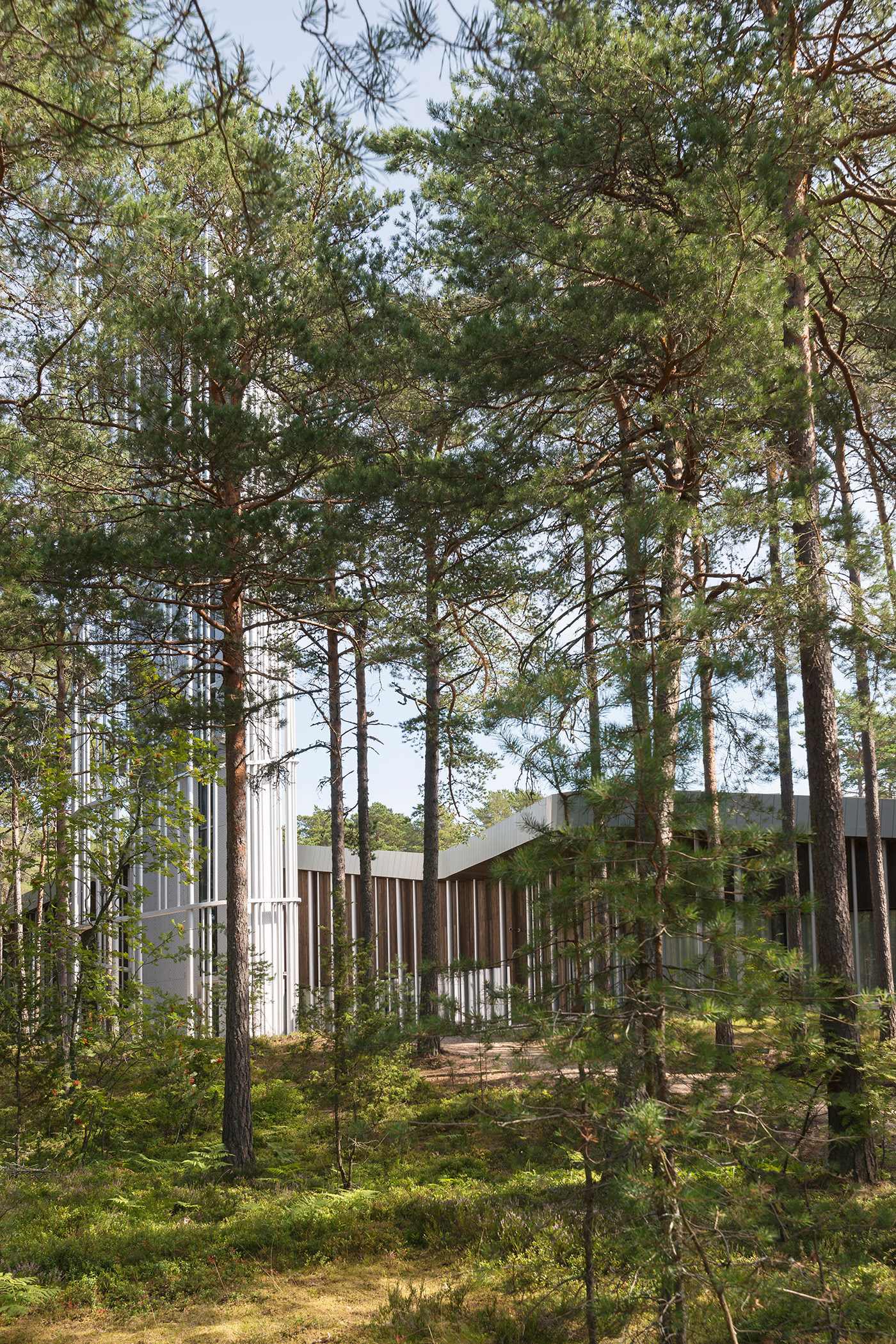 La fondation Arvo Pärt par Andrés Gallardo Albajar La fondation Arvo Part par Andres Gallardo Albajar 5 La-fondation-Arvo-Part-par-Andres-Gallardo-Albajar-5