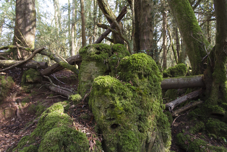 La forêt magique de Puzzlewood La foret magique de Puzzlewood 4 La-foret-magique-de-Puzzlewood-4