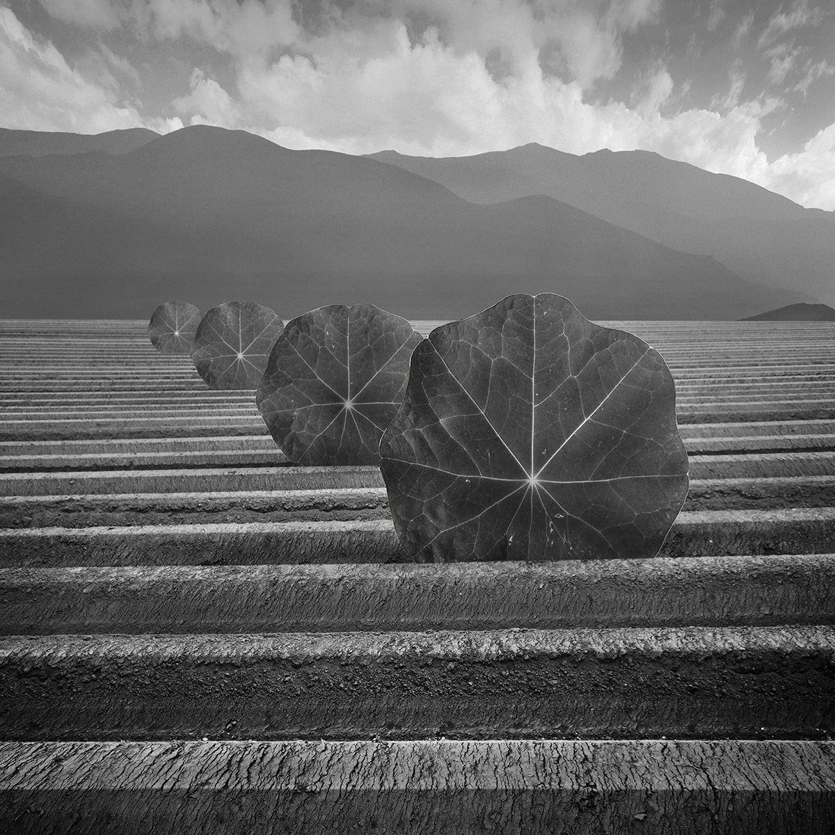 Another - des paysages monochromes surréalistes par Dariusz Klimczak another des paysages monochromes surrealistes par Dariusz Klimczak 1 another-des-paysages-monochromes-surrealistes-par-Dariusz-Klimczak-1