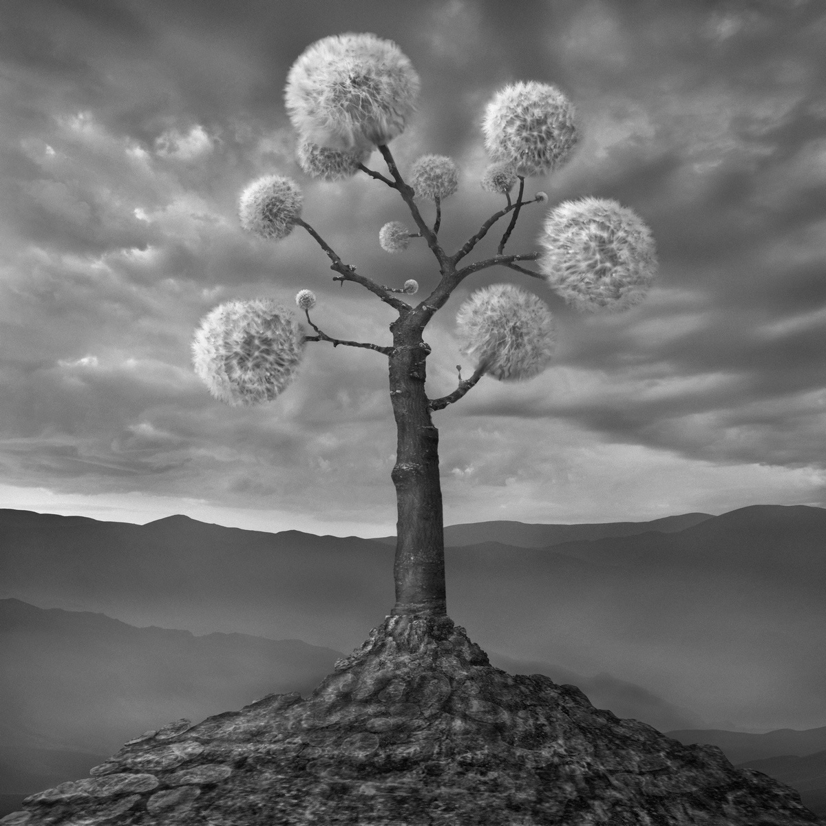 Another - des paysages monochromes surréalistes par Dariusz Klimczak another des paysages monochromes surrealistes par Dariusz Klimczak 11 another-des-paysages-monochromes-surrealistes-par-Dariusz-Klimczak-11