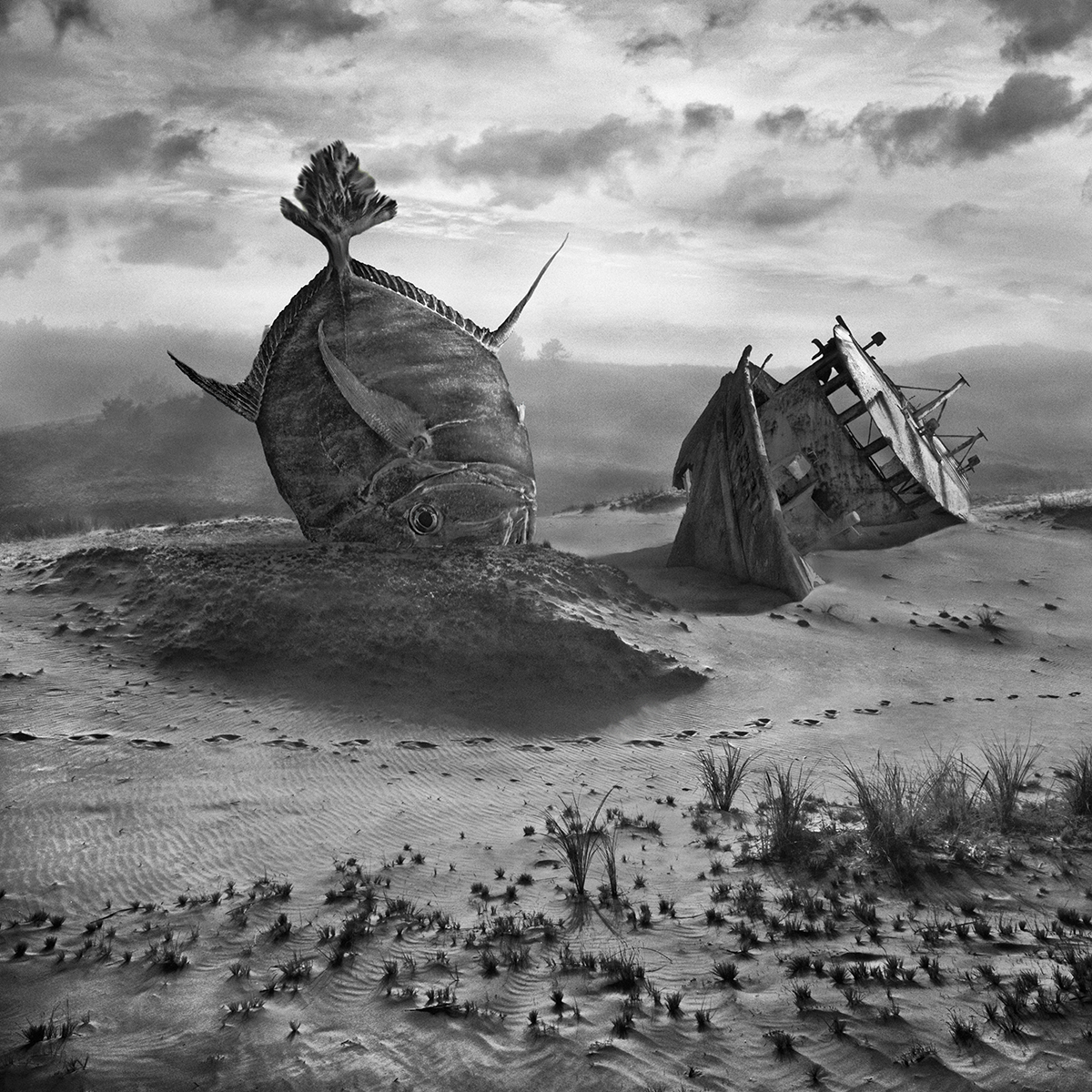 Another - des paysages monochromes surréalistes par Dariusz Klimczak another des paysages monochromes surrealistes par Dariusz Klimczak 14 another-des-paysages-monochromes-surrealistes-par-Dariusz-Klimczak-14