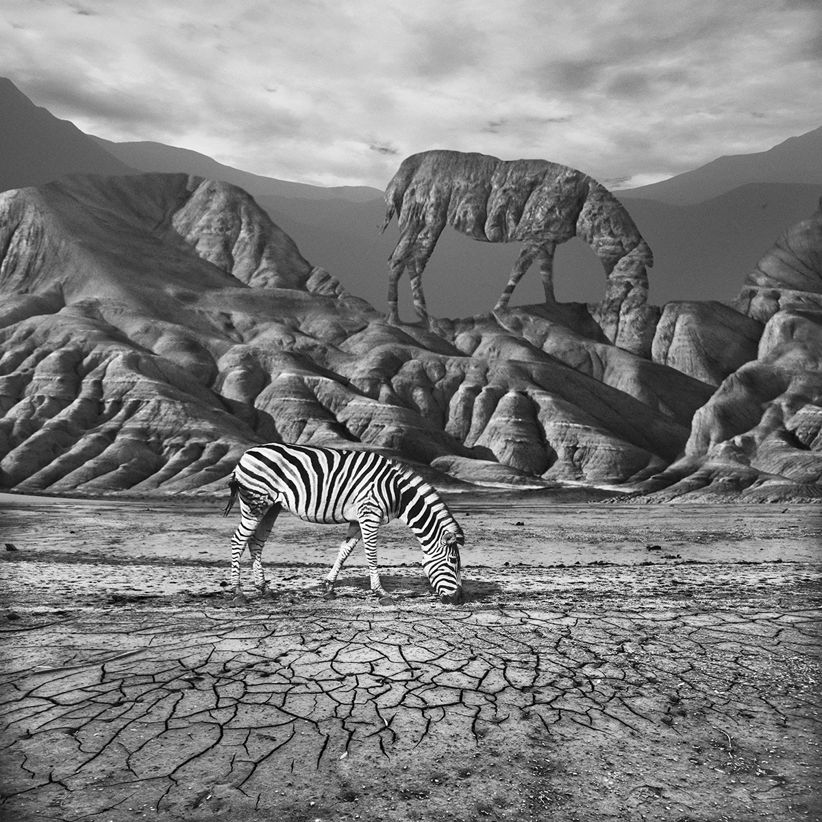 Another - des paysages monochromes surréalistes par Dariusz Klimczak another des paysages monochromes surrealistes par Dariusz Klimczak 3 another-des-paysages-monochromes-surrealistes-par-Dariusz-Klimczak-3