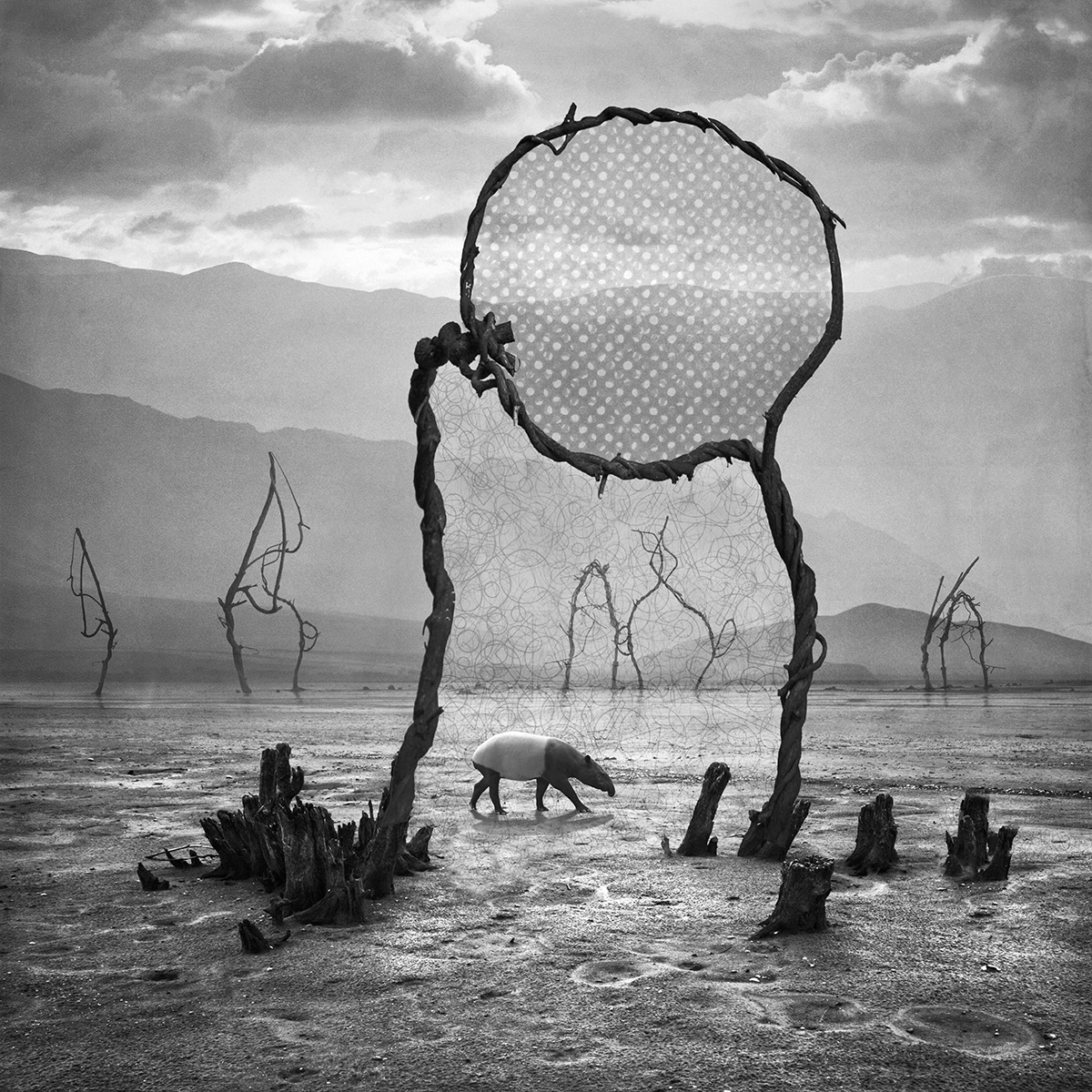 Another - des paysages monochromes surréalistes par Dariusz Klimczak another des paysages monochromes surrealistes par Dariusz Klimczak 6 another-des-paysages-monochromes-surrealistes-par-Dariusz-Klimczak-6