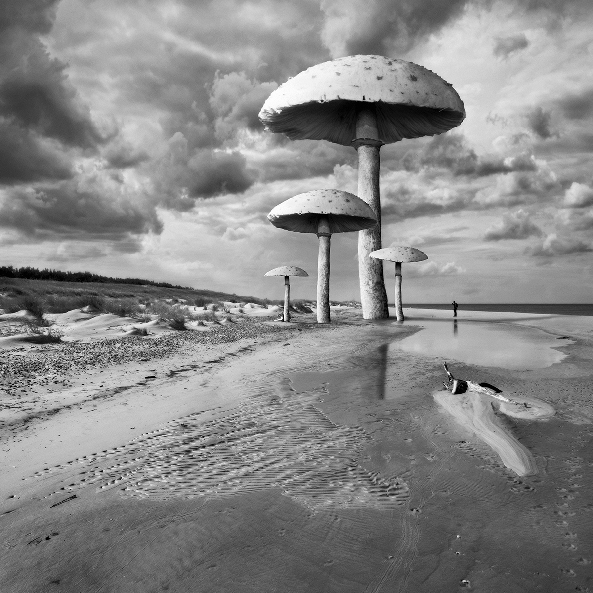 Another - des paysages monochromes surréalistes par Dariusz Klimczak another des paysages monochromes surrealistes par Dariusz Klimczak 8 another-des-paysages-monochromes-surrealistes-par-Dariusz-Klimczak-8