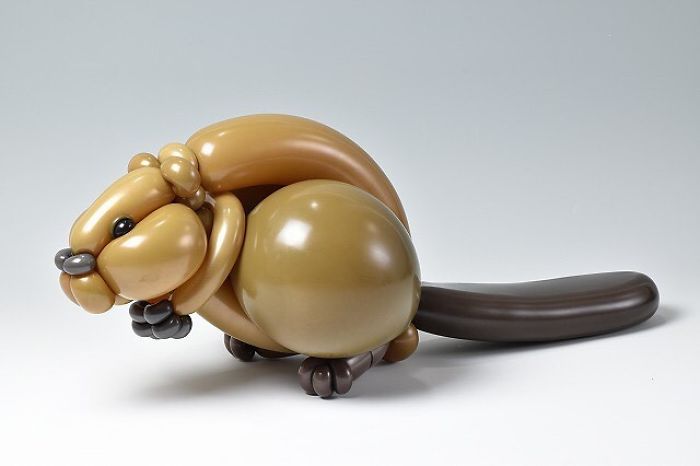 de nouvelles sculptures d'animaux en ballons de baudruche par Masayoshi Matsumoto de nouvelles sculptures d animaux en ballons de baudruche par Masayoshi Matsumoto 4 castor de-nouvelles-sculptures-d-animaux-en-ballons-de-baudruche-par-Masayoshi-Matsumoto-4-castor