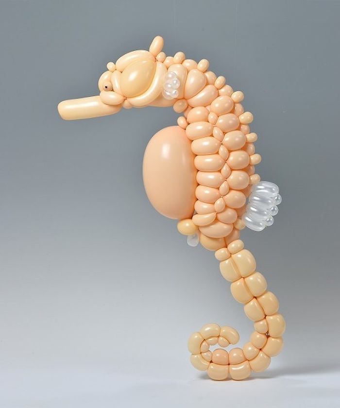 de nouvelles sculptures d'animaux en ballons de baudruche par Masayoshi Matsumoto de nouvelles sculptures d animaux en ballons de baudruche par Masayoshi Matsumoto 9 hippocampe de-nouvelles-sculptures-d-animaux-en-ballons-de-baudruche-par-Masayoshi-Matsumoto-9-hippocampe