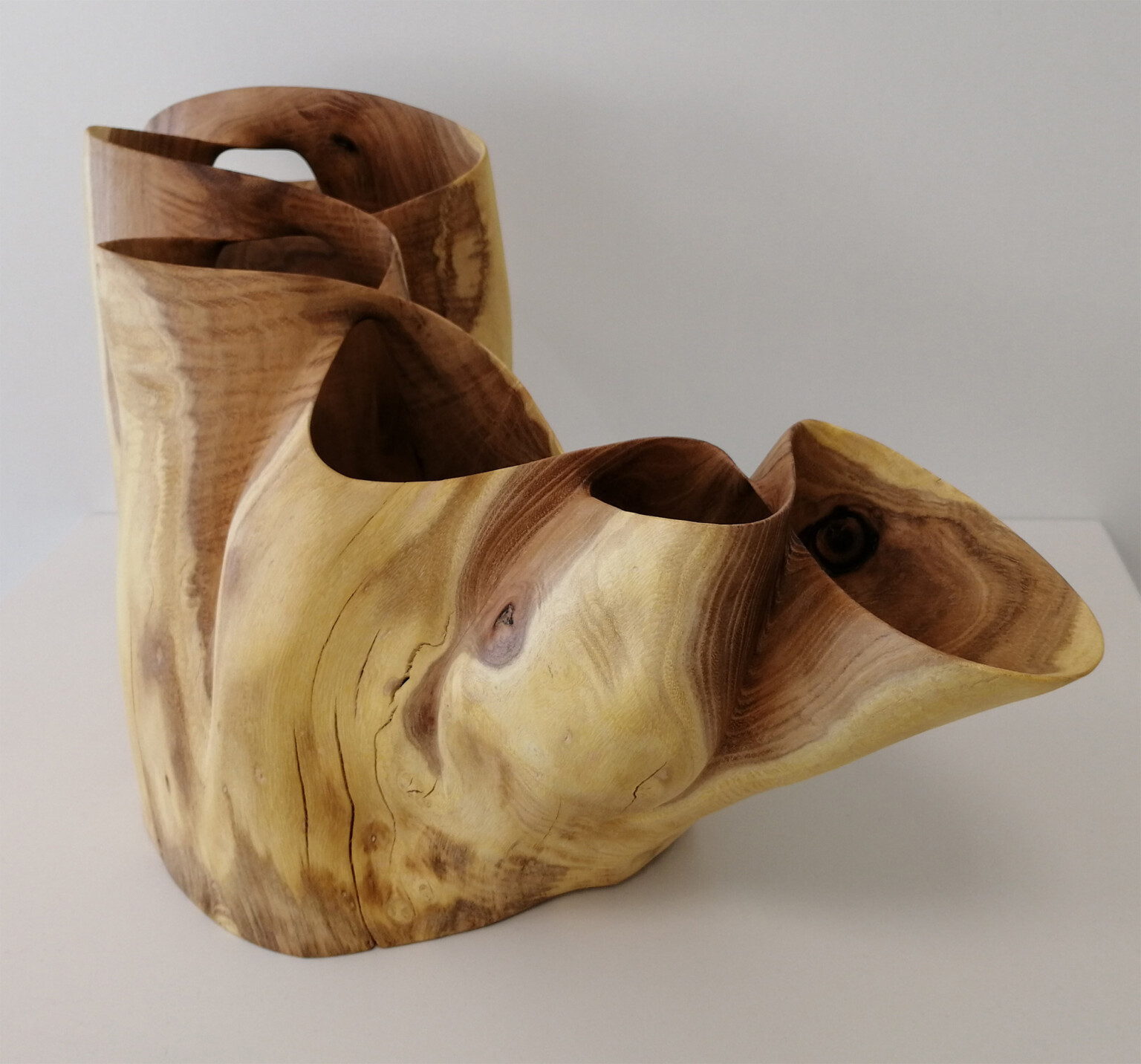 de nouvelles sculptures de bois torsadées de Xavier Puente Vilardell de nouvelles sculptures de bois torsadees de Xavier Puente Vilardell 6 de-nouvelles-sculptures-de-bois-torsadees-de-Xavier-Puente-Vilardell-6