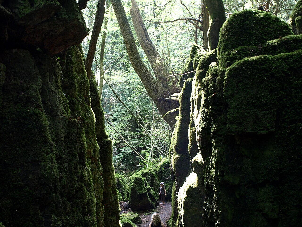 Formations rocheuses et scowles dans la forêt de Puzzlewood Formations rocheuses et scowles dans la forêt de Puzzlewood