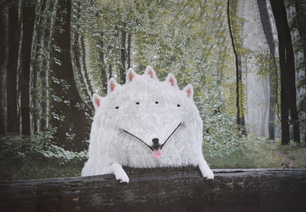 Cats and Dogs III – de nouveaux portraits surréalistes de chats et de chiens en collages par Lola Dupré Cats and Dogs III–de nouveaux portraits surrealistes de chats et de chiens en collages par Lola Dupre 1 Cats-and-Dogs-III–de-nouveaux-portraits-surrealistes-de-chats-et-de-chiens-en-collages-par-Lola-Dupre-1