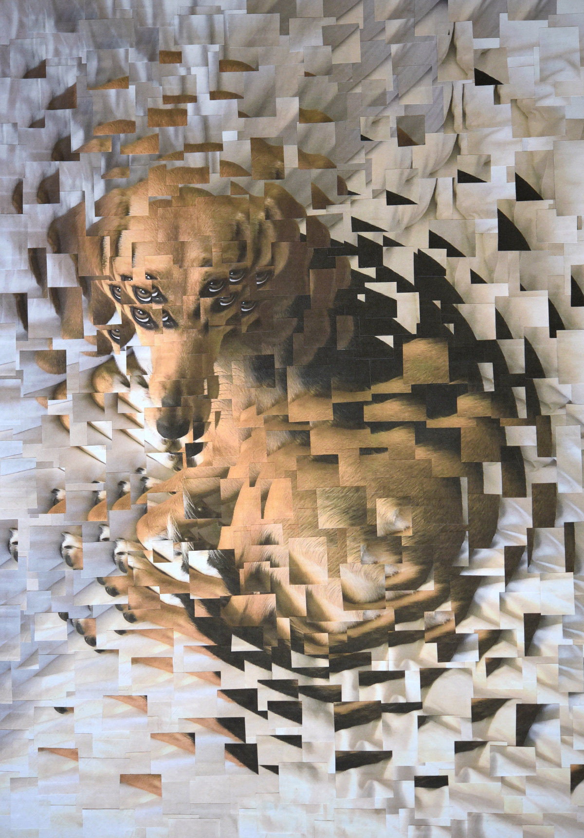 Cats and Dogs III – de nouveaux portraits surréalistes de chats et de chiens en collages par Lola Dupré Cats and Dogs III–de nouveaux portraits surrealistes de chats et de chiens en collages par Lola Dupre 3 Cats-and-Dogs-III–de-nouveaux-portraits-surrealistes-de-chats-et-de-chiens-en-collages-par-Lola-Dupre-3