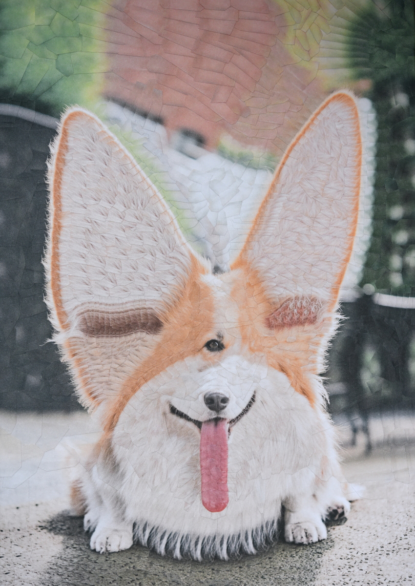 Cats and Dogs III – de nouveaux portraits surréalistes de chats et de chiens en collages par Lola Dupré Cats and Dogs III–de nouveaux portraits surrealistes de chats et de chiens en collages par Lola Dupre 4 Cats-and-Dogs-III–de-nouveaux-portraits-surrealistes-de-chats-et-de-chiens-en-collages-par-Lola-Dupre-4