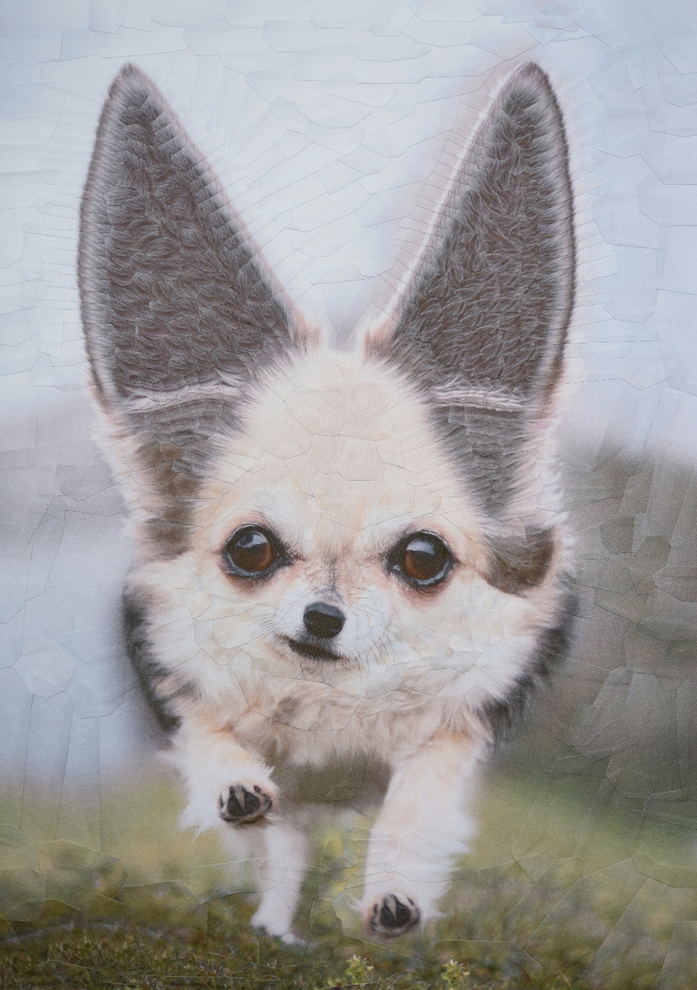 Cats and Dogs III – de nouveaux portraits surréalistes de chats et de chiens en collages par Lola Dupré Cats and Dogs III–de nouveaux portraits surrealistes de chats et de chiens en collages par Lola Dupre 9 Cats-and-Dogs-III–de-nouveaux-portraits-surrealistes-de-chats-et-de-chiens-en-collages-par-Lola-Dupre-9