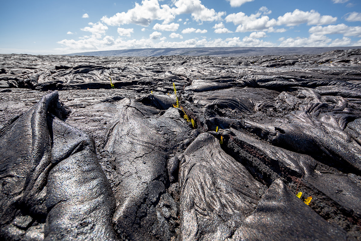 La grande île Hawai par Clément Lefer La grande ile Hawai par Clement Lefer 11 La-grande-ile-Hawai-par-Clement-Lefer-11