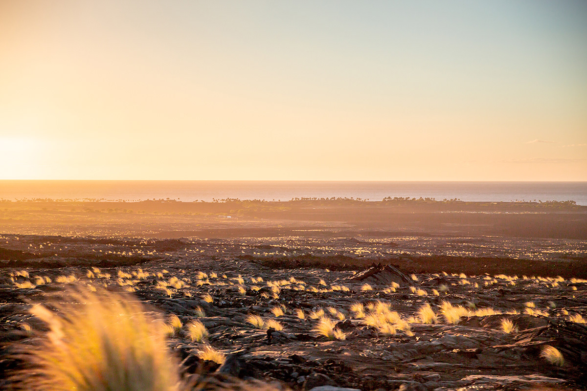 La grande île Hawai par Clément Lefer La grande ile Hawai par Clement Lefer 12 La-grande-ile-Hawai-par-Clement-Lefer-12