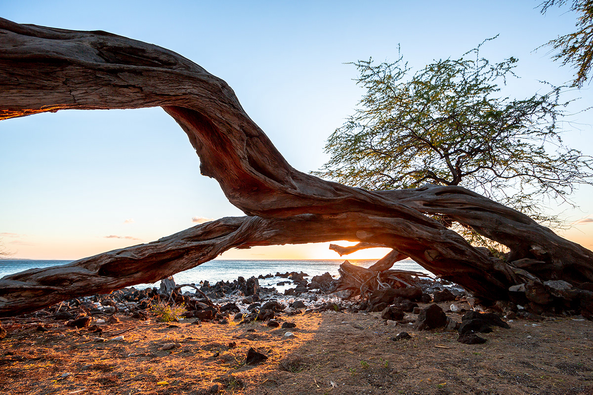 La grande île Hawai par Clément Lefer La grande ile Hawai par Clement Lefer 16 La-grande-ile-Hawai-par-Clement-Lefer-16