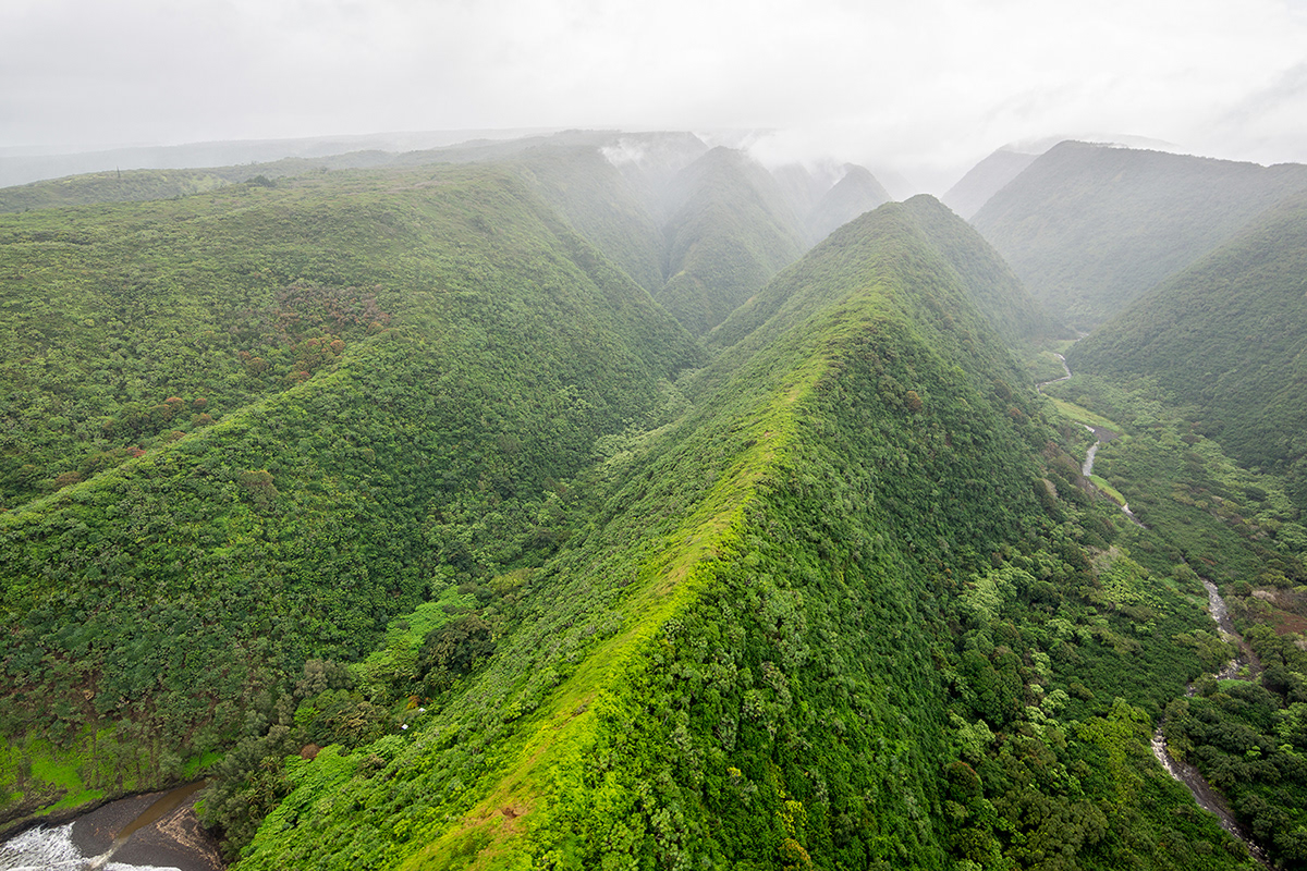 La grande île Hawai par Clément Lefer La grande ile Hawai par Clement Lefer 5 La-grande-ile-Hawai-par-Clement-Lefer-5