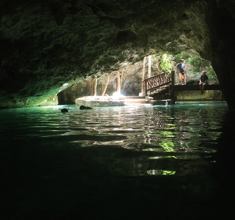 Les cénotes du Yucatan Les cenotes du Yucatan 12 gran cenote tulum Les-cenotes-du-Yucatan-12-gran-cenote-tulum