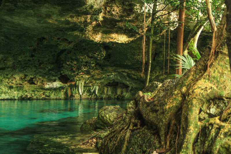 Les cénotes du Yucatan Les cenotes du Yucatan 14 cenote dos ojos Les-cenotes-du-Yucatan-14-cenote-dos-ojos