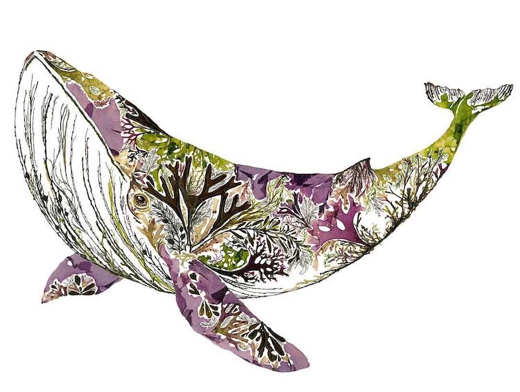 Les tableaux de fleurs séchées de Helen Ahpornsiri Les tableaux de fleurs sechees de Helen Ahpornsiri 4 Les-tableaux-de-fleurs-sechees-de-Helen-Ahpornsiri-4