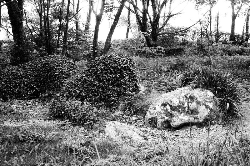 The Mud Maid des jardins perdus de Heligan, une sculpture qui se transforme au fil des saisons The Mud Maid des jardins perdus de Heligan une sculpture qui se transforme au fil des saisons 5 The-Mud-Maid-des-jardins-perdus-de-Heligan-une-sculpture-qui-se-transforme-au-fil-des-saisons-5