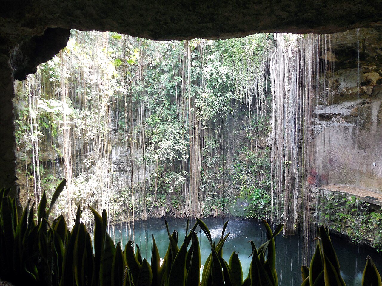 Cénote Ik Kil près de Chichén Itzá dans le Yucatán Cénote Ik Kil près de Chichén Itzá dans le Yucatán