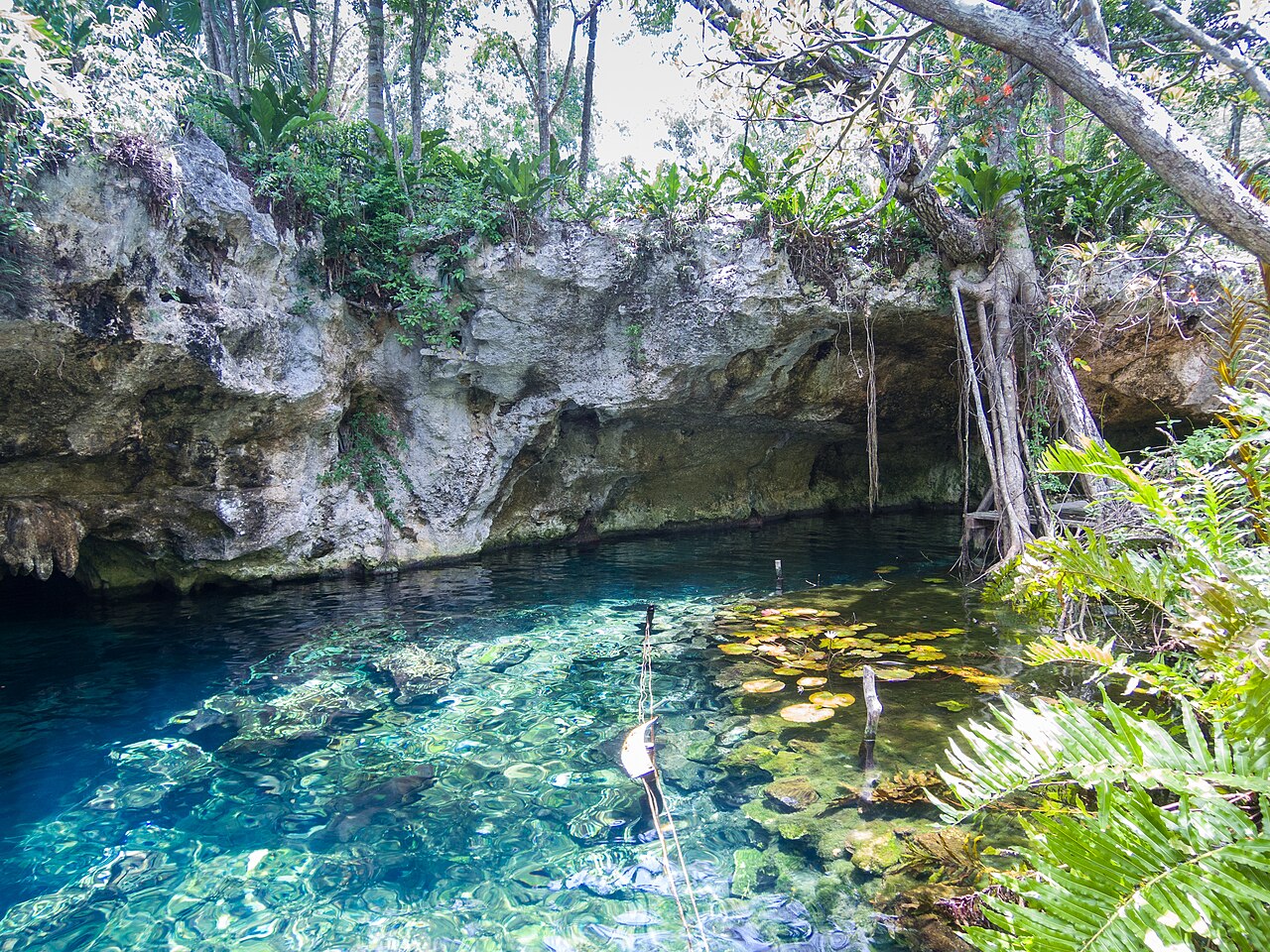 Gran Cenote près de Tulum dans le Quintana Roo Gran Cenote près de Tulum dans le Quintana Roo
