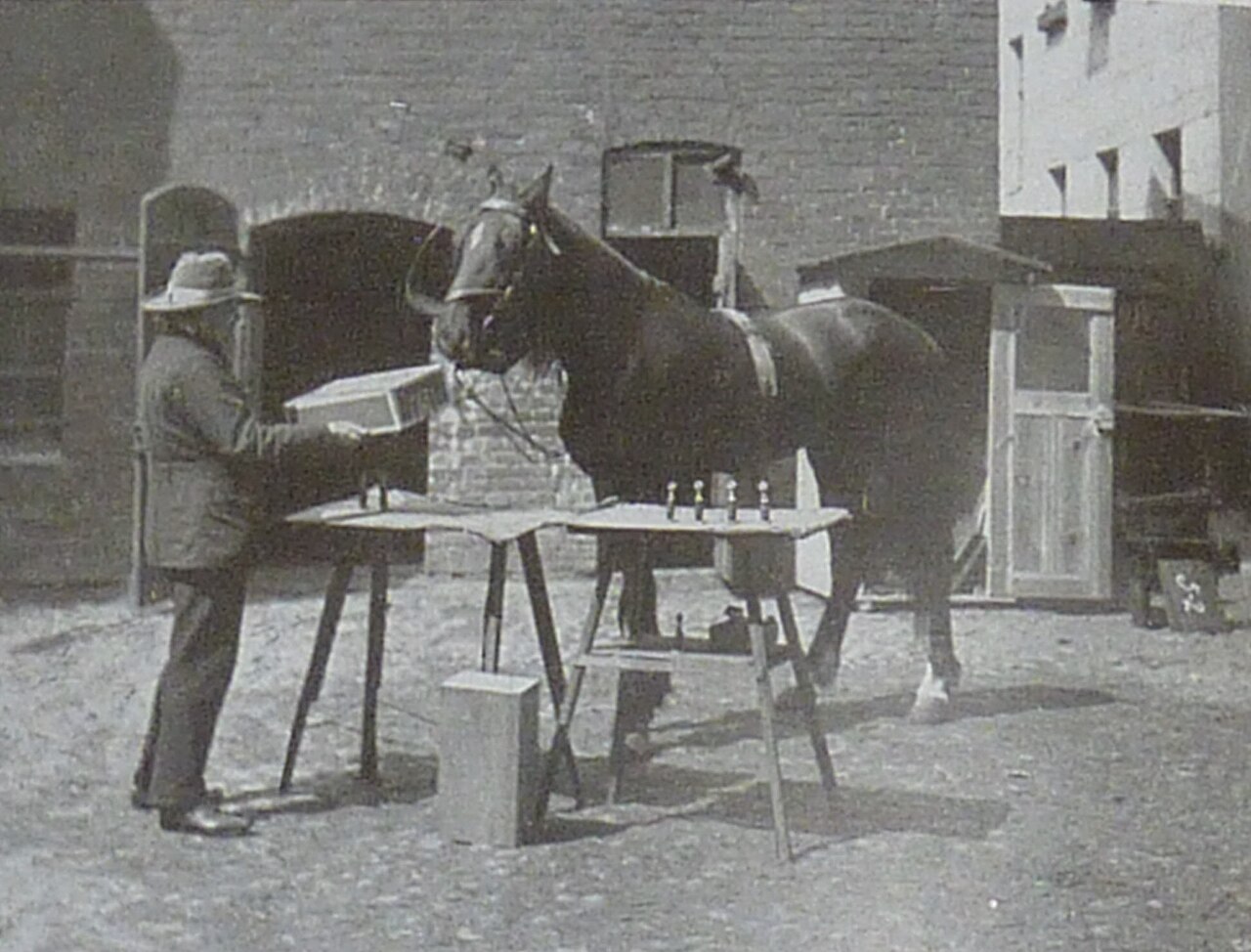 Hans le Malin apprenant une addition 4 plus 2 égale 6. Hans le Malin apprenant une addition 4 plus 2 égale 6.