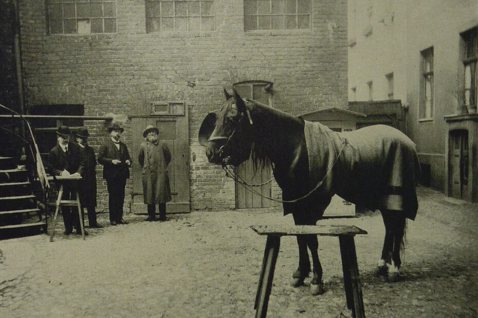Hans le Malin : le cheval qui semblait savoir compter hans le malin examen 1907 hans le malin examen 1907