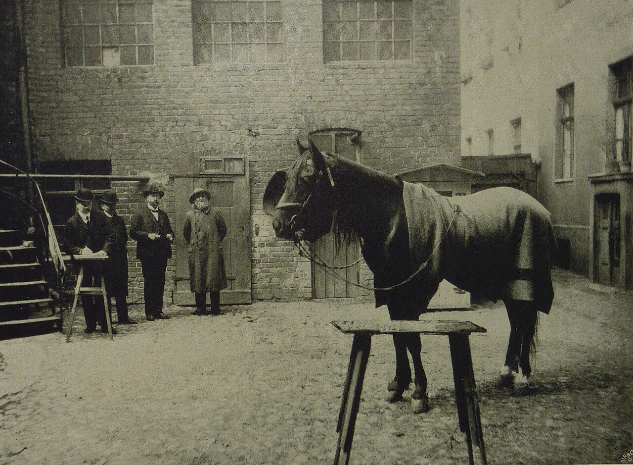 hans le malin examen 1907 Hans le Malin testé devant Wilhelm von Osten et plusieurs observateurs en 1907