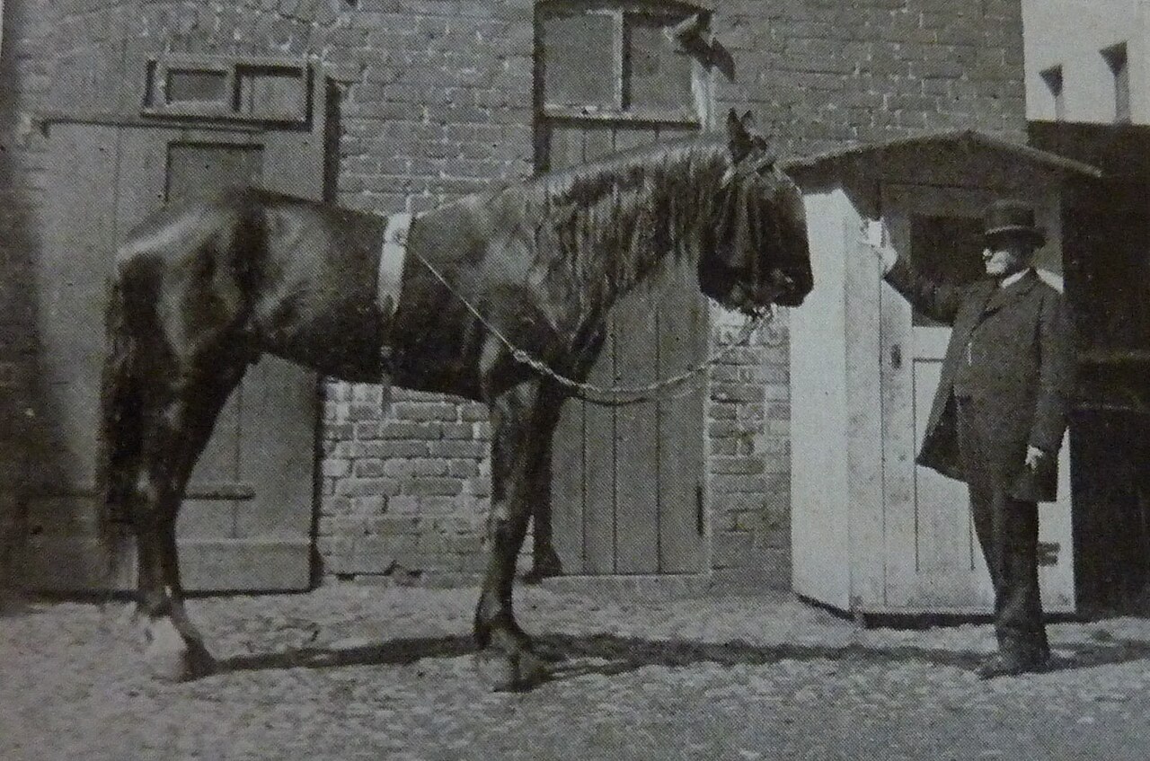 Wilhelm von Osten présentant une image au cheval Hans le Malin Wilhelm von Osten présentant une image au cheval Hans le Malin