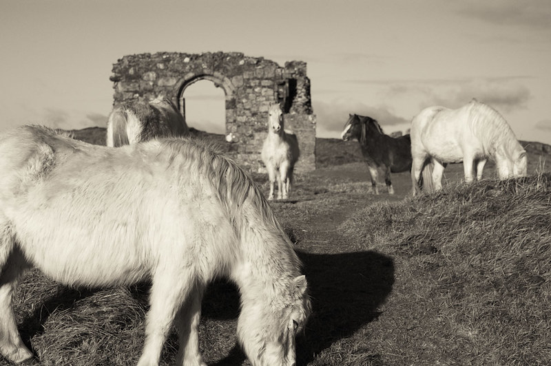 l' île de Llanddwyn - île de légendes et d'amour l ile de Llanddwyn ile de legendes et d amour 9 l-ile-de-Llanddwyn-ile-de-legendes-et-d-amour-9
