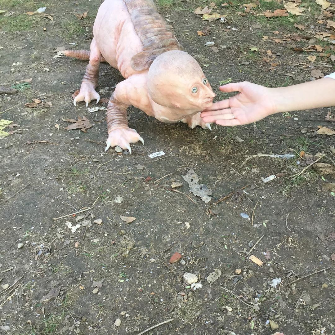 les horribles créatures hyper réalistes de Laira Maganuco les horribles creatures hyper realistes de Laira Maganuco 12 les-horribles-creatures-hyper-realistes-de-Laira-Maganuco-12