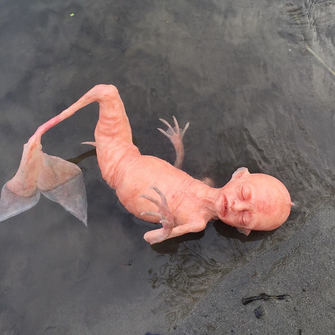 les horribles créatures hyper réalistes de Laira Maganuco les horribles creatures hyper realistes de Laira Maganuco 15 les-horribles-creatures-hyper-realistes-de-Laira-Maganuco-15