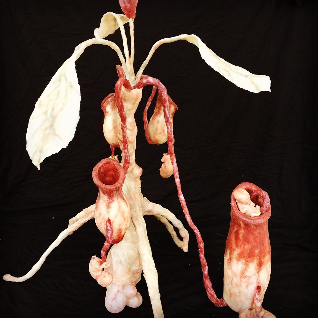 les horribles créatures hyper réalistes de Laira Maganuco les horribles creatures hyper realistes de Laira Maganuco 17 les-horribles-creatures-hyper-realistes-de-Laira-Maganuco-17