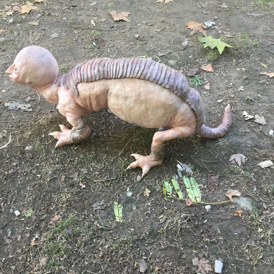 les horribles créatures hyper réalistes de Laira Maganuco les horribles creatures hyper realistes de Laira Maganuco 18 les-horribles-creatures-hyper-realistes-de-Laira-Maganuco-18