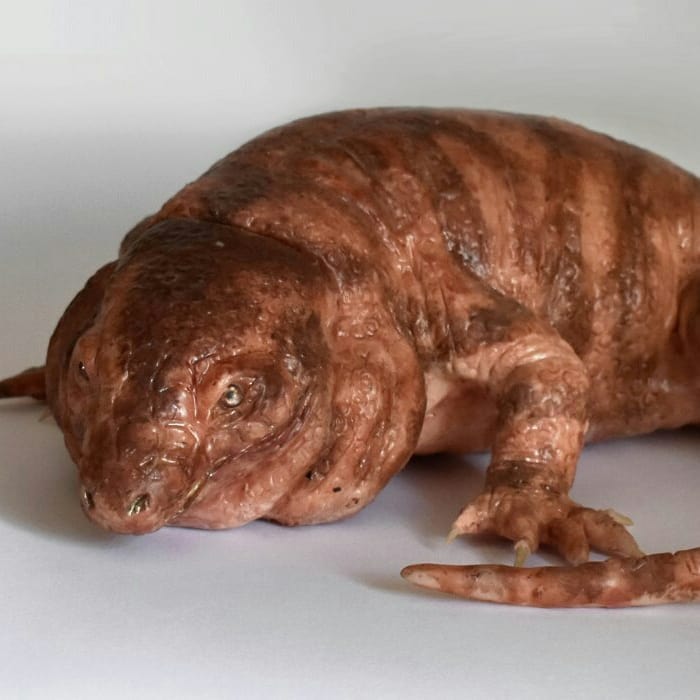 les horribles créatures hyper réalistes de Laira Maganuco les horribles creatures hyper realistes de Laira Maganuco 9 les-horribles-creatures-hyper-realistes-de-Laira-Maganuco-9