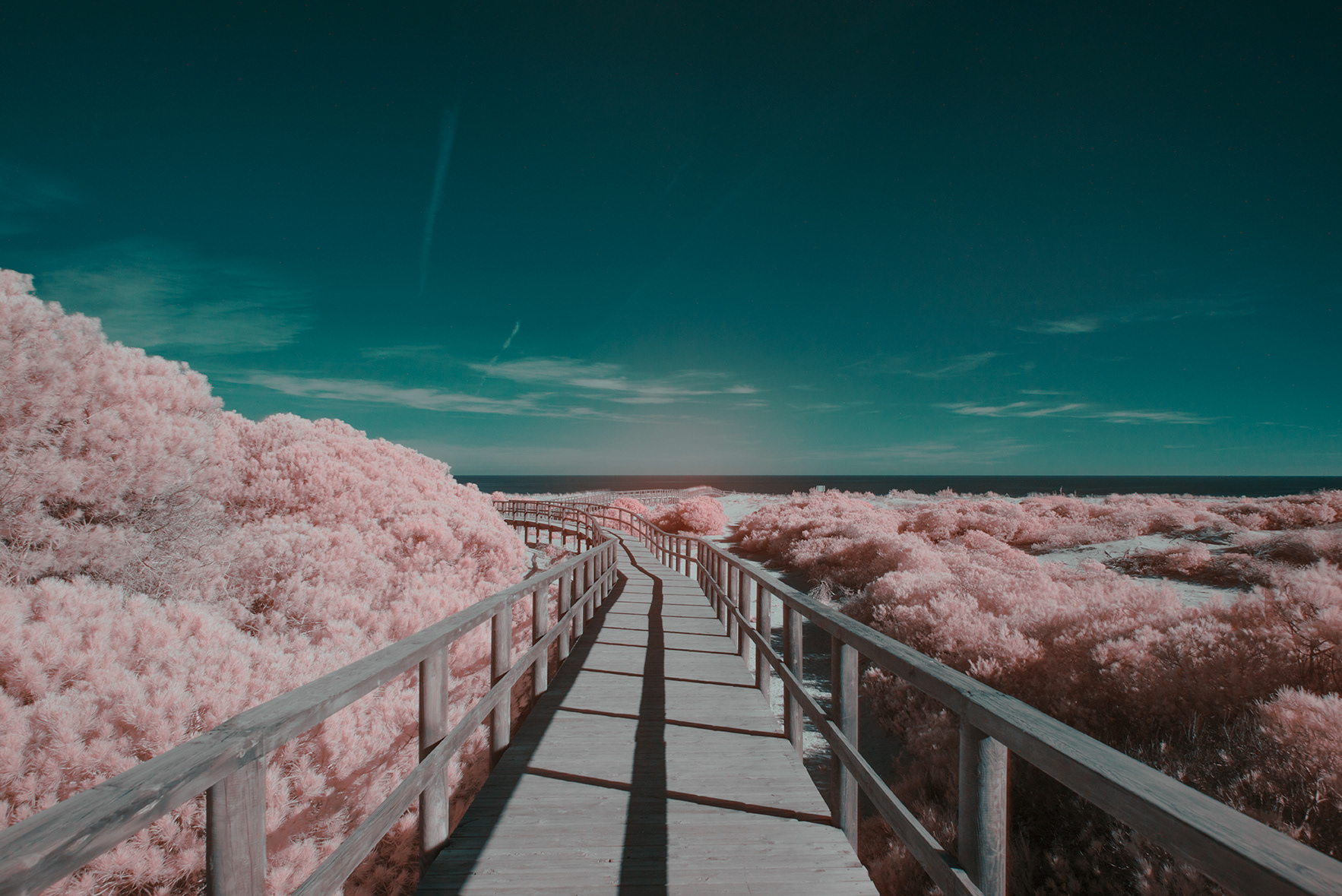 Alicante en infrarouge par Andrés Gallardo Albajar Alicante en infrarouge par Andres Gallardo Albajar 6 Alicante-en-infrarouge-par-Andres-Gallardo-Albajar-6