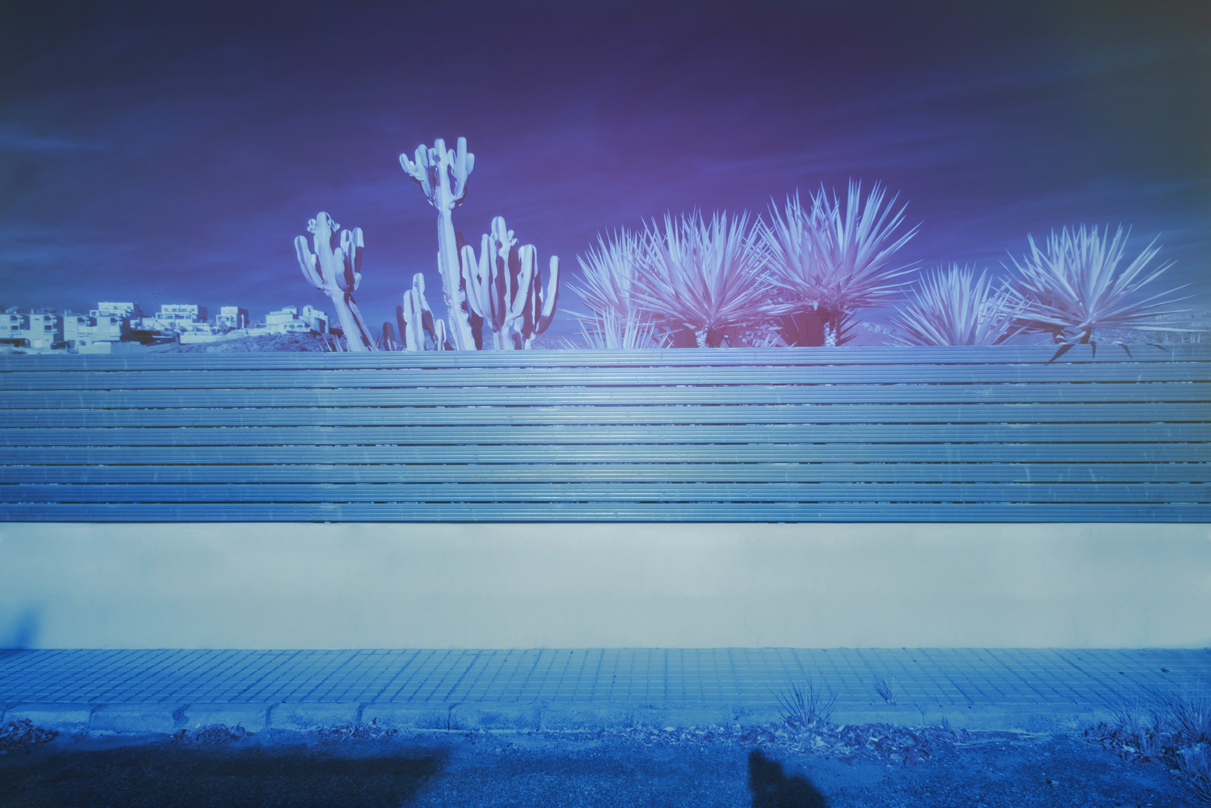 Alicante en infrarouge par Andrés Gallardo Albajar Alicante en infrarouge par Andres Gallardo Albajar 7 Alicante-en-infrarouge-par-Andres-Gallardo-Albajar-7