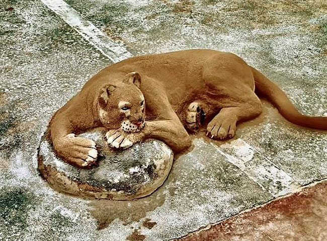 Les incroyables sculptures de sable de Andoni Bastarrika Les incroyables sculptures de sable de Andoni Bastarrika 16 Les-incroyables-sculptures-de-sable-de-Andoni-Bastarrika-16