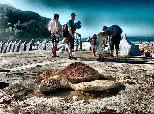 Les incroyables sculptures de sable de Andoni Bastarrika Les incroyables sculptures de sable de Andoni Bastarrika 4 Les-incroyables-sculptures-de-sable-de-Andoni-Bastarrika-4